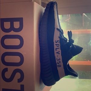 Yeezy Boost 350 V2